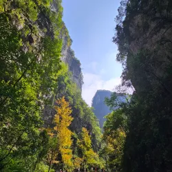 Longfengshan National Forest Park - Hegang