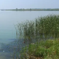 Hengshui Folk Culture Street - Hengshui