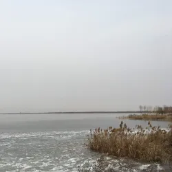 Hengshui Lake - Hengshui