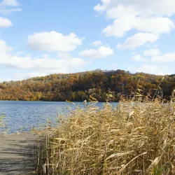 Huinan Forest Park - Huinan