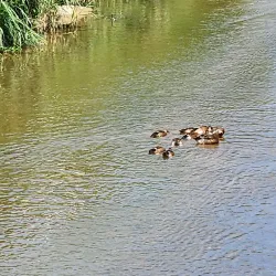 Luofu Mountain - Huizhou