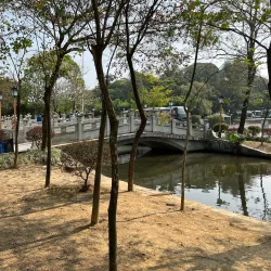 Luofu Mountain - Huizhou