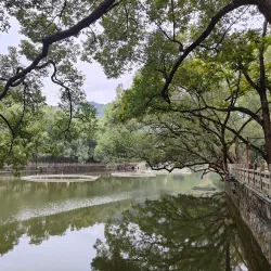Luofu Mountain - Huizhou