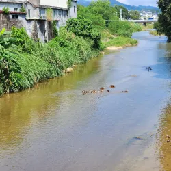 Luofu Mountain - Huizhou