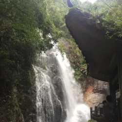 Nankunshan National Forest Park - Huizhou