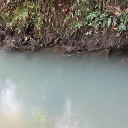 Nankunshan National Forest Park - Huizhou