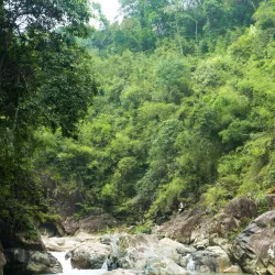 Nankunshan National Forest Park - Huizhou