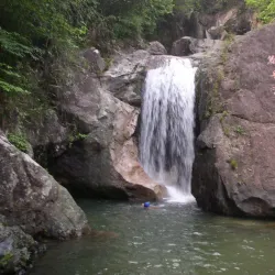 Nankunshan National Forest Park - Huizhou