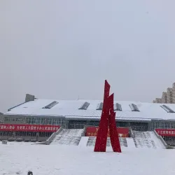 Jiamusi Cultural Center - Jiamusi