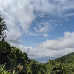 Wuzhi Mountain - Jiaozuo