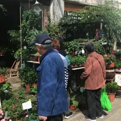 Yuehe Ancient Street - Jiaxing