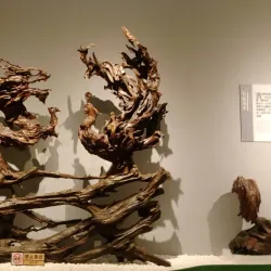 Jilin Meteorite Museum - Jilin