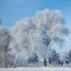Jilin Rime Ice Festival - Jilin