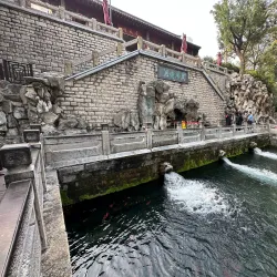 Black Tiger Spring - Jinan