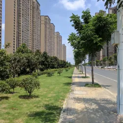 Jintan People's Park - Jintan