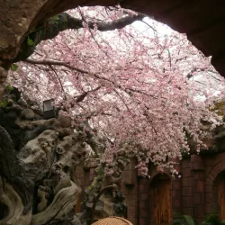 Jintan Riverside Promenade - Jintan