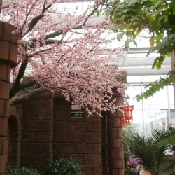 Jintan Riverside Promenade - Jintan