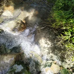 Jiujiang Old Town - Jiujiang