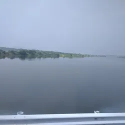 Jiujiang People's Park - Jiujiang