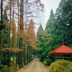 Lushan Botanical Garden - Jiujiang
