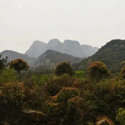 Mount Lushan - Jiujiang