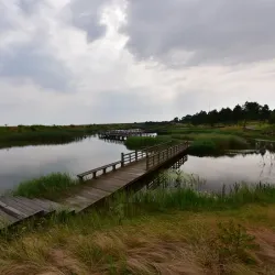 Poyang Lake - Jiujiang