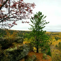 Wangqing River Scenic Area - Jixi