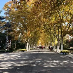 Iron Pagoda - Kaifeng