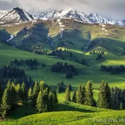 Bayinbuluke Grassland - Korla