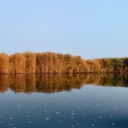 Bosten Lake - Korla