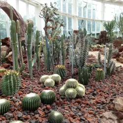 Kunming Botanical Garden - Kunming