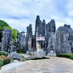 Stone Forest (Shilin) - Kunming