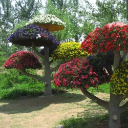 Laiwu Botanical Garden - Laiwu