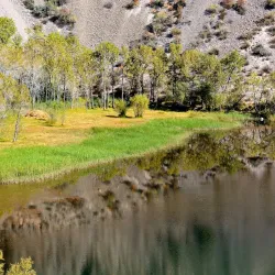 Five Springs Park (Wuqing Park) - Lanzhou