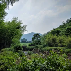 Bamboo Sea Scenic Area - Lin'an