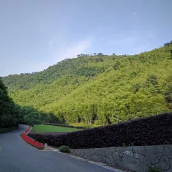 Bamboo Sea Scenic Area - Lin'an