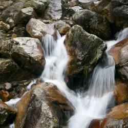 Daming Mountain National Forest Park - Lin'an