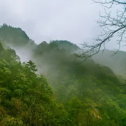 Daming Mountain National Forest Park - Lin'an