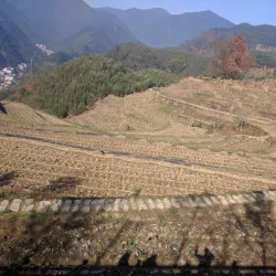 Lin'an Ancient Town - Lin'an