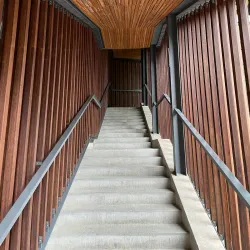 Lin'an Museum - Lin'an