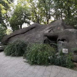 Longjing Tea Plantations - Lin'an