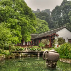 Longjing Tea Plantations - Lin'an