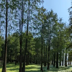 Qingshan Lake Scenic Area - Lin'an