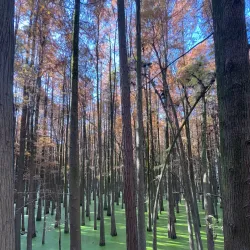 Qingshan Lake Scenic Area - Lin'an