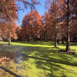 Qingshan Lake Scenic Area - Lin'an