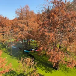 Qingshan Lake Scenic Area - Lin'an