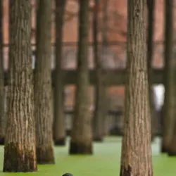 Qingshan Lake Scenic Area - Lin'an