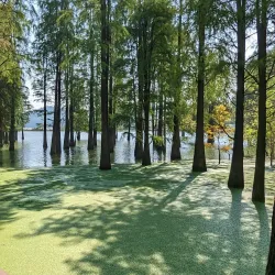 Qingshan Lake Scenic Area - Lin'an