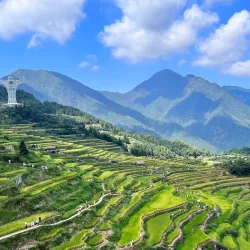 Yunhe Rice Terraces - Lin'an