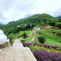 Yunhe Rice Terraces - Lin'an
